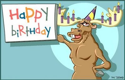 birthday-moose